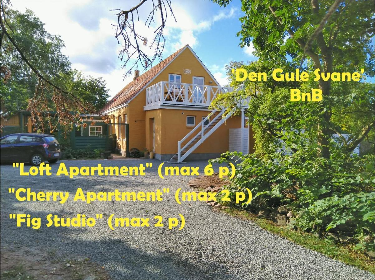 The Cherry Apartment - 'Den Gule Svane' Guest House Near Ronne & Beach Eksteriør billede